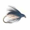 colorado caddis